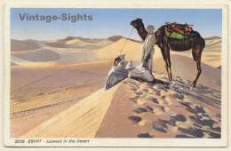 Lehnert & Landrock N°2059: Lookout In The Desert / Camels (Vintage PC 1910s/1920s) - Otros & Sin Clasificación