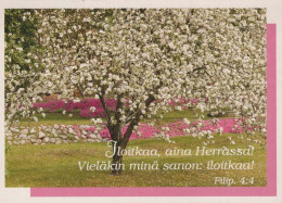 FLOWERS Vintage Postcard CPSM #PAR616.GB - Bloemen