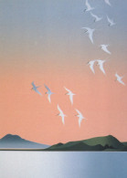 BIRD Animals Vintage Postcard CPSM #PAN176.GB - Uccelli