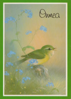 BIRD Animals Vintage Postcard CPSM #PAN239.GB - Birds