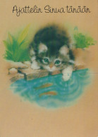 GATO GATITO Animales Vintage Tarjeta Postal CPSM #PAM116.ES - Chats