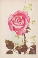 FLOWERS Vintage Postcard CPA #PKE740.GB - Fleurs