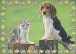DOG Animals Vintage Postcard CPSM #PBQ715.GB - Cani