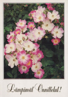 FLEURS Vintage Carte Postale CPSM #PAR738.FR - Fiori