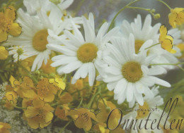 FLORES Vintage Tarjeta Postal CPSM #PBZ265.ES - Flowers