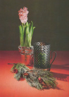 FLOWERS Vintage Ansichtskarte Postkarte CPSM #PAS400.DE - Bloemen