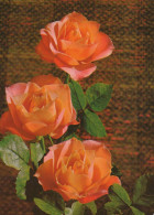 FLOWERS Vintage Ansichtskarte Postkarte CPSM #PAR979.DE - Flowers