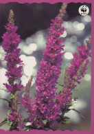 FLOWERS Vintage Ansichtskarte Postkarte CPSM #PAR138.DE - Blumen