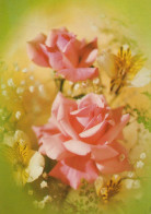 FLEURS Vintage Carte Postale CPSM #PBZ446.FR - Flowers