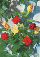 FIORI Vintage Cartolina CPSM #PAS584.IT - Fleurs