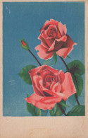 FLOWERS Vintage Ansichtskarte Postkarte CPA #PKE622.DE - Fiori