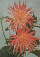 FLOWERS Vintage Ansichtskarte Postkarte CPSM #PBZ931.DE - Fiori