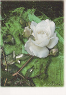 FLOWERS Vintage Ansichtskarte Postkarte CPSM #PBZ567.DE - Fiori