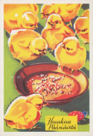 PASQUA POLLO UOVO Vintage Cartolina CPSM #PBO862.IT - Ostern