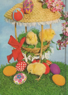 PASQUA POLLO UOVO Vintage Cartolina CPSM #PBO612.IT - Ostern