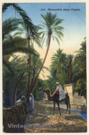 Lehnert & Landrock N°648: Rencontre Dans L'Oasis / Camels (Vintage PC 1913) - Otros & Sin Clasificación