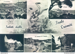 P764 Cartolina Saluti Dalle Isole Tremiti Provincia Di Foggia - Foggia