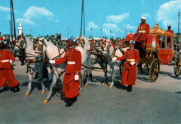 CPM - CHEVAL - MAROC - Carrosse Royal De Parade Et HASSAN II. à Cheval  ... LOT 3 CP - Caballos