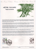 - Document Premier Jour LE HÊTRE FAYARD (Fagus Sylvatica) - ORLEANS 21.9.1985 - - Árboles