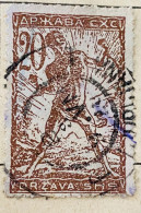 Yougoslavie, 1919, 20 Vinarja, Casseurs De Chaîne - DÉFAUT - Used Stamps