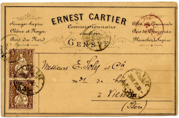 SUISSE - SBK 30 X 2 5C BRUN SUR CARTE PRIVEE ERNEST CARTIER GENEVE, 1878 - Storia Postale
