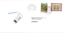 H385 - LETTRE RECOMMANDEE DE LUXEMBOURG DU 05/11/86 - Storia Postale