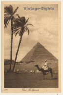 Lehnert & Landrock N°1044: Cairo - The Pyramids / Camel (Vintage PC 1910s/1920s) - Otros & Sin Clasificación