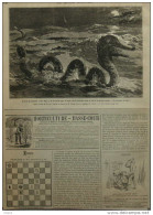 à Bord Du Steamer "The Don" - Un Serpent De Mer ?  - Rebus - Page Original  1881 - Historische Documenten