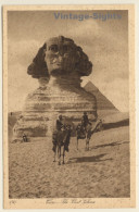 Lehnert & Landrock N°1043: Cairo - The Great Sphinx / Camel (Vintage PC 1910s/1920s) - Otros & Sin Clasificación