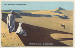 Lehnert & Landrock N°660: Arrivée D'un Mehariste / Camel (Vintage PC 1910s/1920s) - Andere & Zonder Classificatie