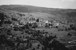 CANEBOLA - PANORAMA - 1959 - Udine