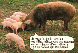 CPSM - COCHONS - Carte Humour ... Edition J.Cellard - Cerdos