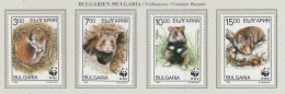BULGARIA 1994 WWF Hamster Mi 4124-4127 MNH(**) Fauna 515 - Other & Unclassified