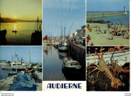 29 AUDIERNE En 5 Vues N°23 211 Port Plage Le RAOULIC Ramendage De Bolinches Crustacés Peugeot 404 Bateau Le Biniou - Audierne