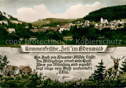 73673636 Zell Odenwald Panorama Wildgehege Zell Odenwald - Bad König