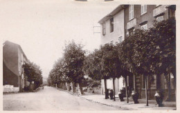 83 /LE LUC / PLACE JEAN JAURES / EDIT BRUNEAU - Le Luc