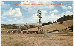 Howdy From Nebraska - Altri & Non Classificati
