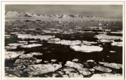 Spitzbergen - Treibeis In Der Königsbucht - Norvegia