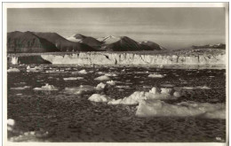 Spitzbergen - Königsbucht - Norvège