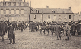 VIRE (14)  LE MARCHE AUX BESTIAUX - Vire