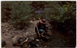 Gold Panning Along The American River - Bergbau