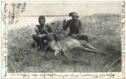 Jagd - Reed Buck - Hunting