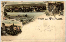 Gruss Aus Waldshut Litho - Waldshut-Tiengen