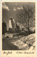 New York - Central Park In Winter - Altri & Non Classificati