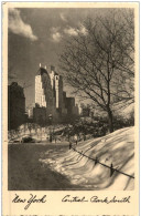 New York - Central Park In Winter - Autres & Non Classés