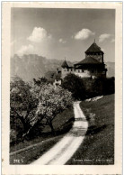 Schloss Vaduz - Liechtenstein - Liechtenstein