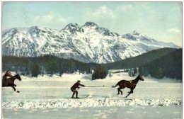 Skikjöring - Pferd Mit Skifahrer - Sports D'hiver