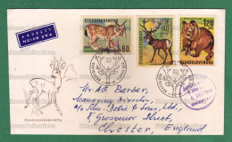 CZECHOSLOVAKIA 1966 CZECH - ANIMALS 3v FDC Postal Used - LYNX, RED DEER ( Cervus Elaphus ), BROWN BEAR ( Ursus Arctos ) - Roofkatten