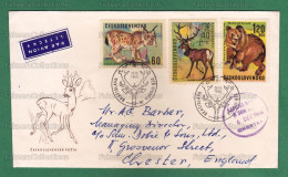 CZECHOSLOVAKIA 1966 CZECH - ANIMALS 3v FDC Postal Used - LYNX, RED DEER ( Cervus Elaphus ), BROWN BEAR ( Ursus Arctos ) - Felinos