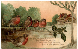 Vögel - Prägekarte - Uccelli